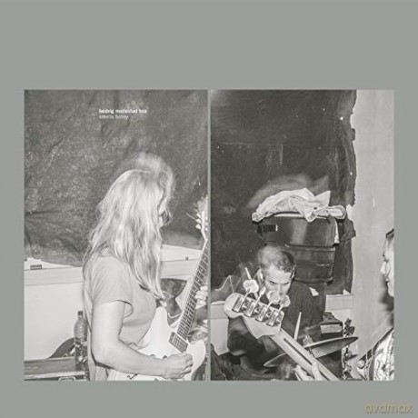 Hedvig Mollestad: Smells Funny [CD]