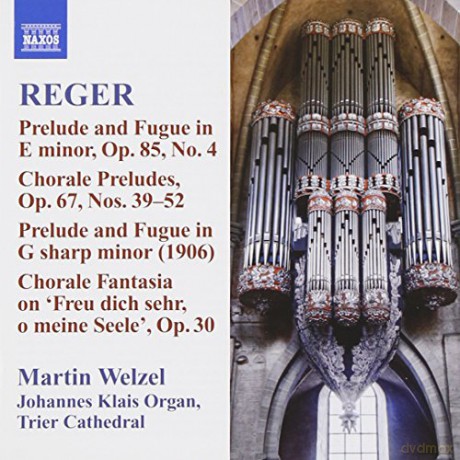 Max Reger: Sss¤mtliche Orgelwerke Vol.10 [CD]