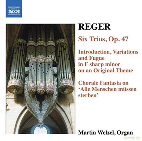 Max Reger: Sss¤mtliche Orgelwerke Vol.6 [CD]