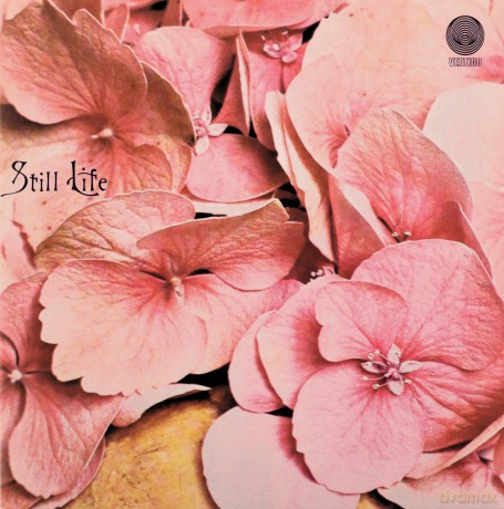 Still Life: Still Life (Limited) [CD]