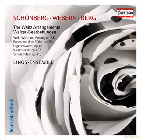 Johann Strauss II: Walzer-Transkriptionen [CD]