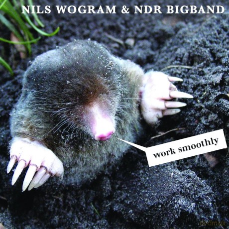 Nils Wogram: Work Smoothly [CD]