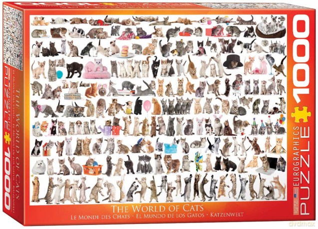 HEYE Świat kotów 1000 el. [PUZZLE]