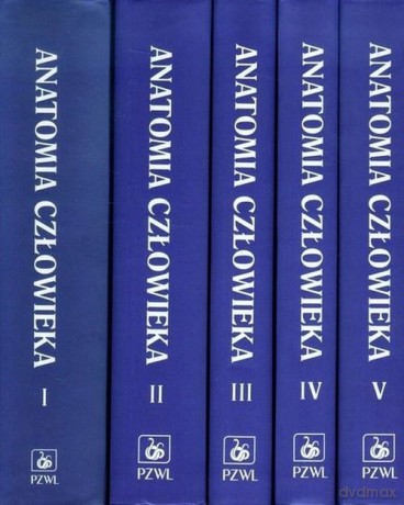 Anatomia człowieka 1-5 [KSIĄŻKA]