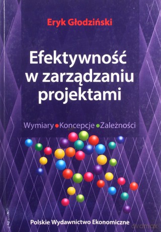 Efektywność w zarządzaniu projektami [KSIĄŻKA]