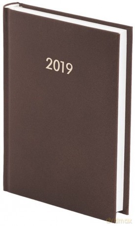 Kalendarz 2019 A5 dzienny Albit brązowy [KALENDARZ]