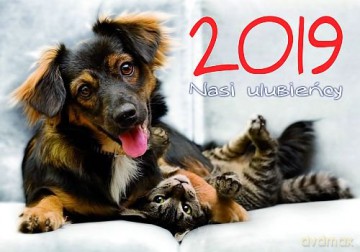 Kalendarz Nasi ulubieńcy 2019 KA 3 [KALENDARZ]