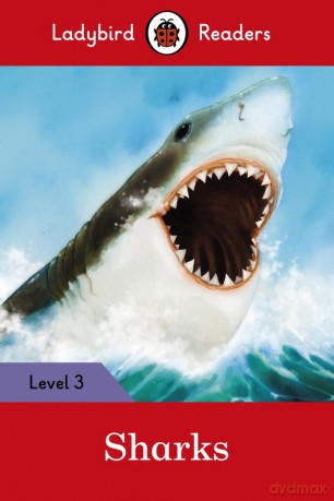 Sharks [KSIĄŻKA]