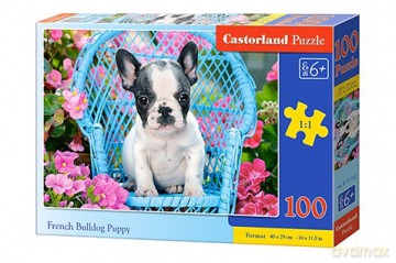 CASTORLAND 100 el. Buldog Francuski szczeniaczek [PUZZLE]