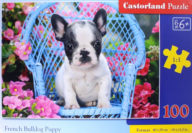 CASTORLAND 100 el. Buldog Francuski szczeniaczek [PUZZLE]
