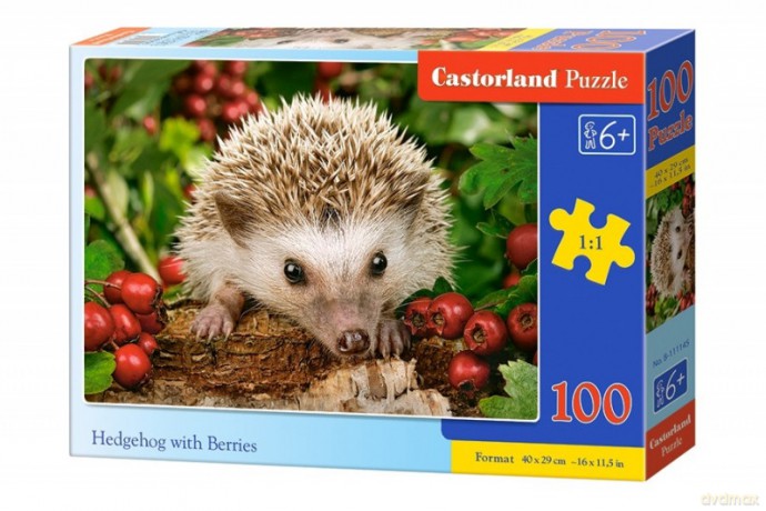 CASTORLAND 100 el. Jeż [PUZZLE]