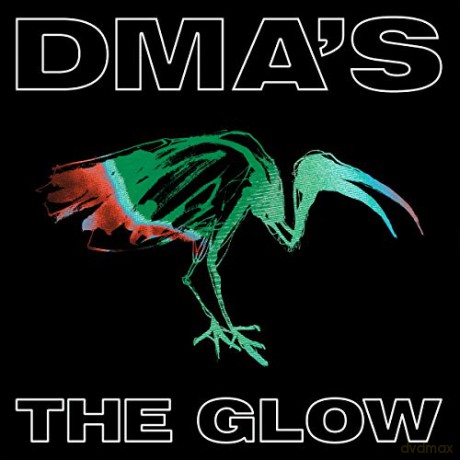Dma's: The Glow [Winyl]