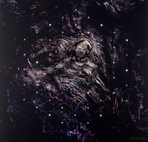 Psychonaut: Unfold The God Man [CD]