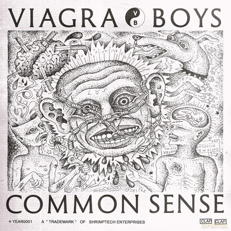 Viagra Boys: Common Sense [Winyl]