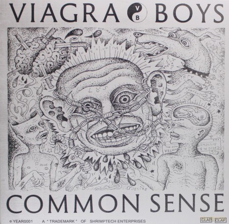 Viagra Boys: Common Sense [Winyl]