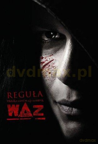 Reguła - WΔZ (W Delta Z) [DVD]