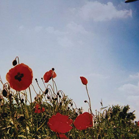 Fluisteraars: Bloem (digipack) [CD]