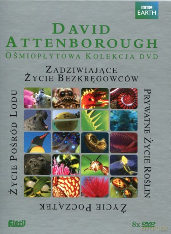 David Attenborough Kolekcja: Zadziwiające życie bezkręgowców / Życie pośród lodu / Prywatne życie roślin / Życie. Początek [BOX] [8DVD]