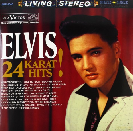 Elvis Presley: 24 Karat Hits (Limited) [Winyl]