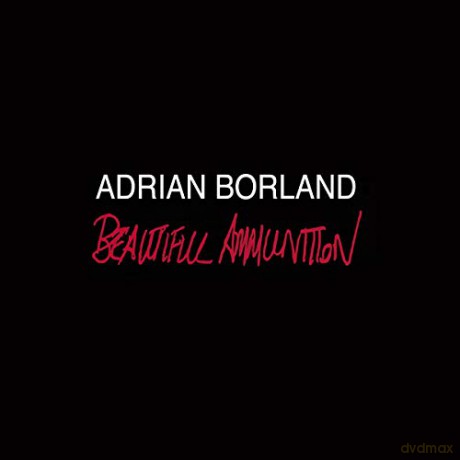 Borland, Adrian: Beautiful Ammunition [2xWinyl]