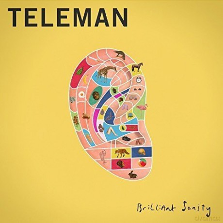 Teleman: Brilliant Sanity [Winyl]