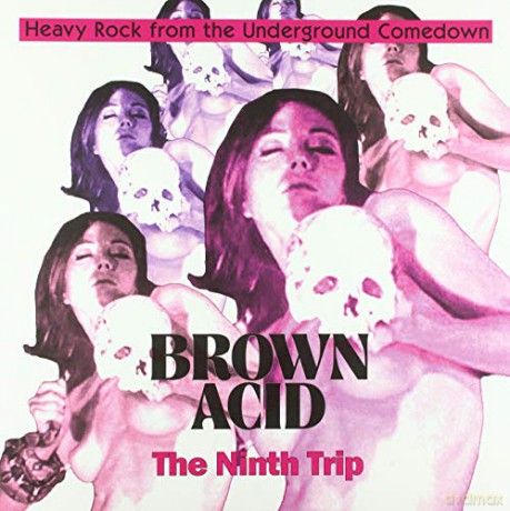 Brown Acid - The Ninth Trip [Winyl]