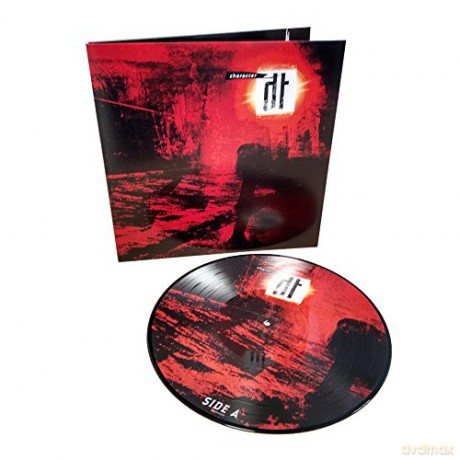 Dark Tranquillity: Character (Limited) (Picture) [Winyl]
