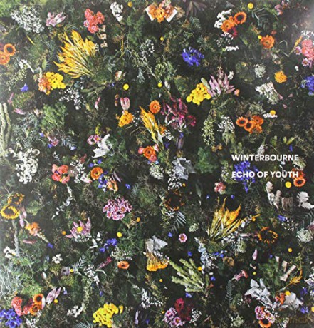 Winterbourne: Echo Of Youth (White) [Winyl]