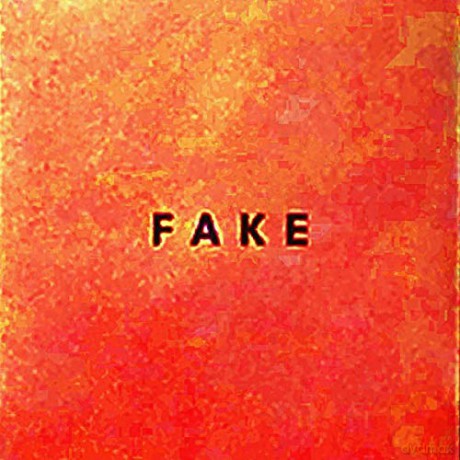 Die Nerven: Fake [CD]