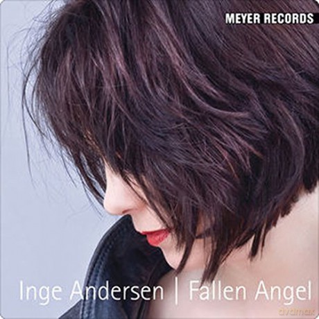 Andersen,Inge: Fallen Angel [Winyl]