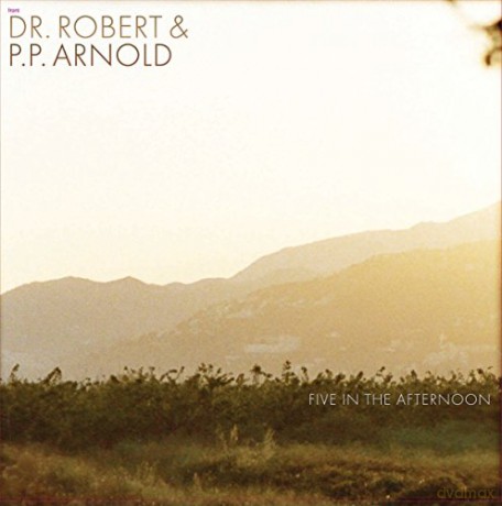 Dr.Robert: Five In The Afernoon [Winyl]