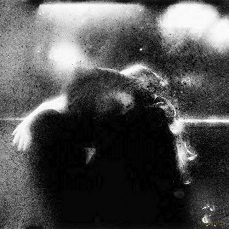 Oiseaux-Tempete: From Somewhere Invisible (Limited) (Marbled) [Winyl]