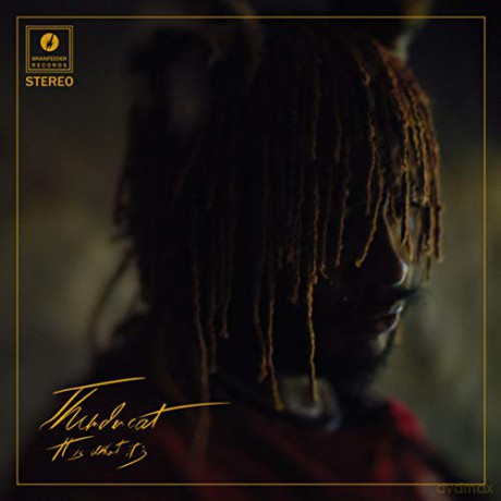 Thundercat: It Is What It Is (Cream) [Winyl]