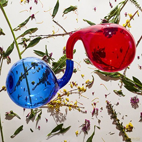 Dirty Projectors: Lamp Lit Prose [Winyl]