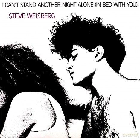 Steve Weisberg: I Can't Stand Another Night Alone [WINYL]