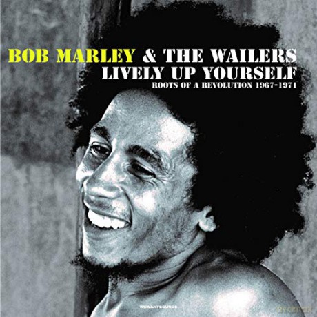 Bob Marley: Lively Up Yourself: Roots Of A Revolution [2xWinyl]