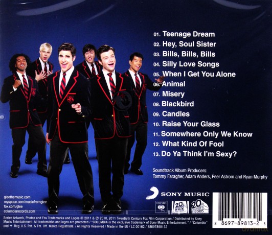 Glee Cast: Glee: The Music Presents The Warblers [CD]