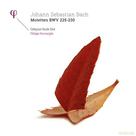 Dorothee Mields: Motetten BWV 225-230 [2xWinyl]