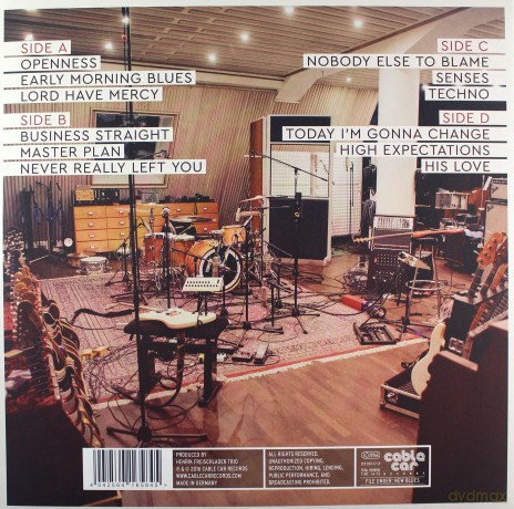 Henrik Freischlader Trio: Openness [2xWinyl]