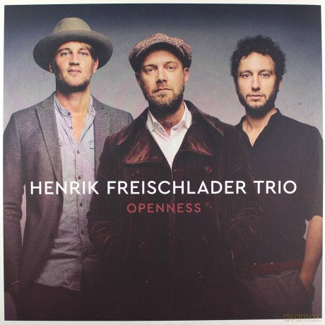 Henrik Freischlader Trio: Openness [2xWinyl]