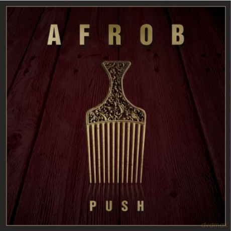 Afrob: Push [2xWinyl]
