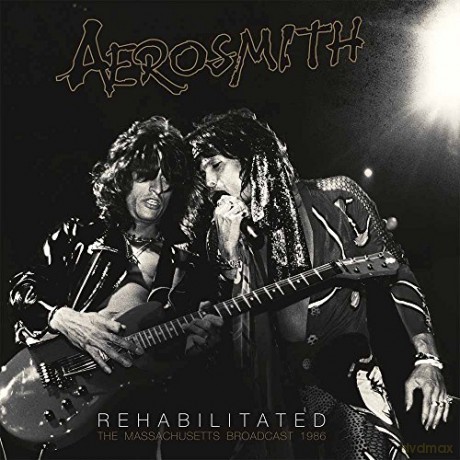 Aerosmith: Rehabilitated [2xWinyl]