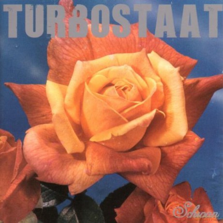 Turbostaat: Schwan [Winyl]