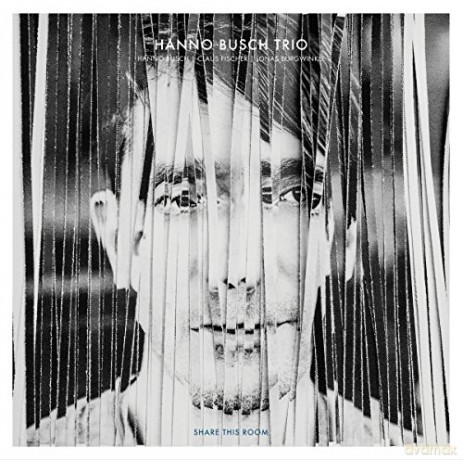 Busch,Hanno Trio: Share This Room (Limited) [3xWinyl]