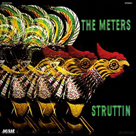 Meters: Struttin [Winyl]