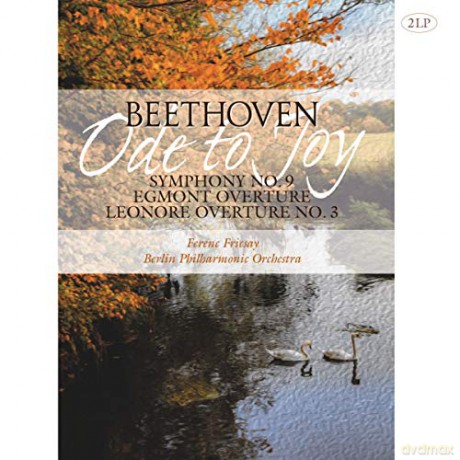 Beethoven,l.Van: Symphonie Nr.9 [2xWinyl]