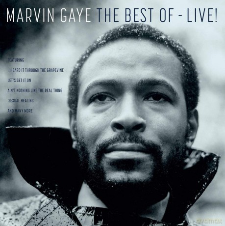 Marvin Gaye: The Best Of - Live! [Winyl]