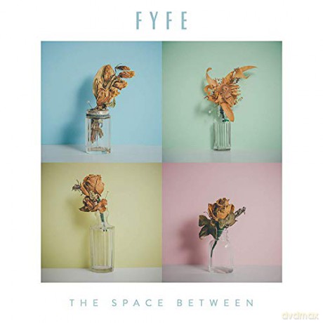 Fyfe: The Space Between [Winyl]