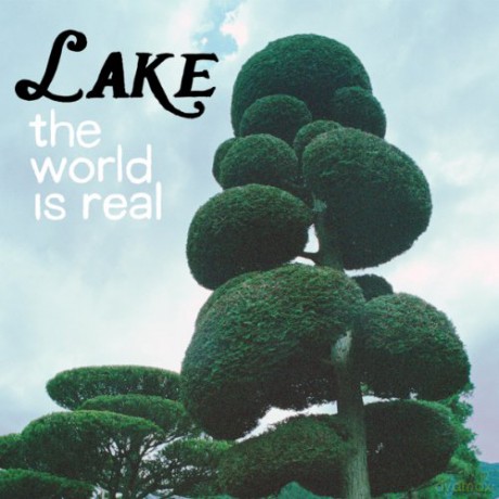 Lake: The World Is Real [Winyl]