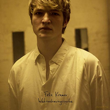Felix Kramer: Wahrnehmungssache [Winyl]